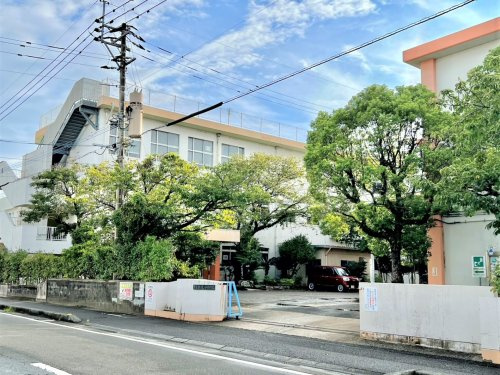 宮崎市立潮見小学校の画像