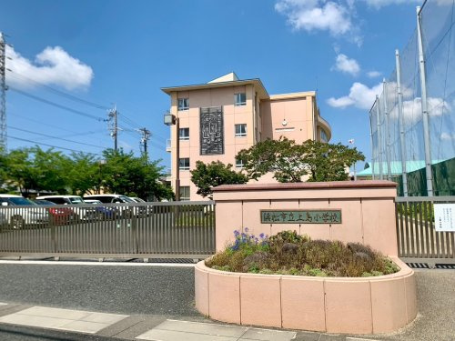 の画像