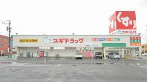 スギドラッグ本巣糸貫店の画像1