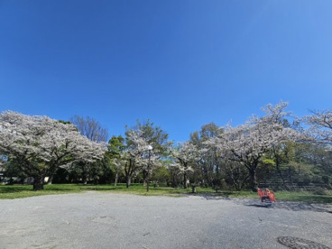 都立水元公園（旧桜公園地区）の画像1