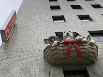 大阪動物専門学校　天王寺校の画像1