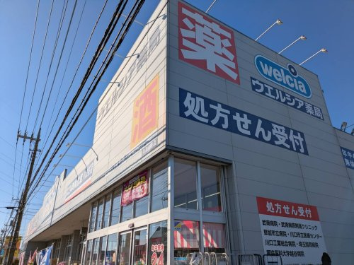 の画像