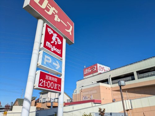 の画像