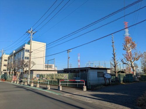 の画像