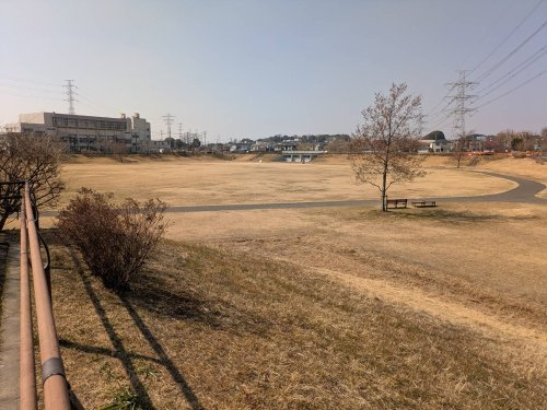 の画像