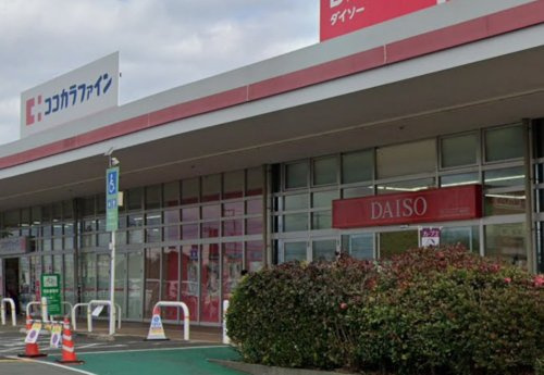の画像