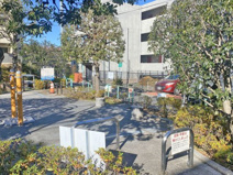 公園 太子堂やまもも公園