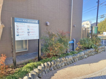 アメンボ広場の画像1