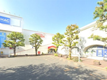 ハックドラッグさがみ野店