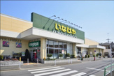 いなげや 練馬南大泉店