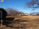 あやめ公園