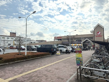 マツモト 伏見店の画像1