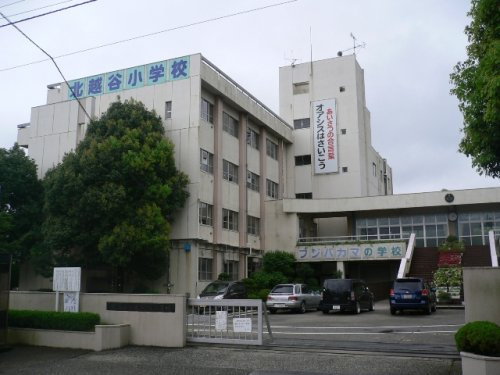 の画像