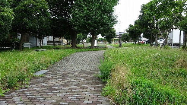 の画像