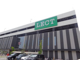 LECT