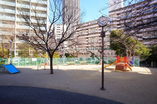 の画像