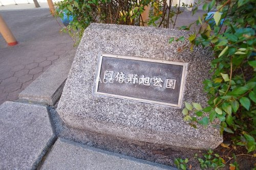 の画像