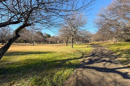 梅園公園の画像1