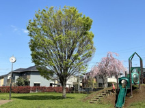 本郷第三街区公園