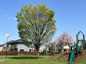 本郷第三街区公園の画像1