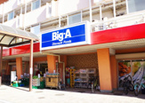ビッグ・エー 横浜南神大寺団地店