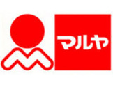 Maruya(マルヤ) 南流山店