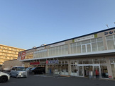 柏はせがわ整形外科