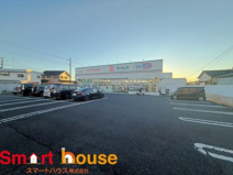 ドラックセイムズ西村山店