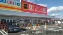 ダイレックス 東岐波店
