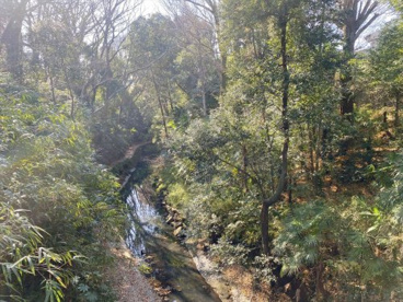 等々力渓谷公園の画像1