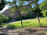 崎ヶ谷公園