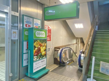 ミニコープ奥沢店の画像1