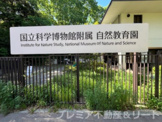 国立科学博物館付属自然教育園 正門