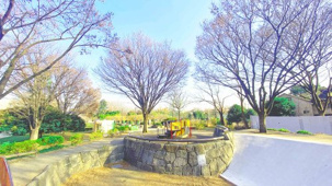祖師谷公園の画像