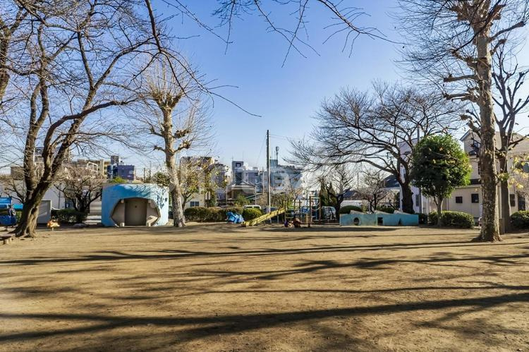 の画像