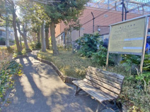 八雲三丁目緑地