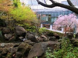 紅葉山公園の画像1