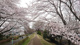 西東京市立上向台小学校の画像