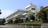 成田市立向台小学校