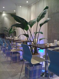 デートにも、ちょっとした休憩にもピッタリのカフェです☆ Mon Cafe (モンカフェ)の画像2