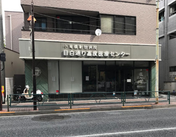 小滝橋動物病院 目白通り高度医療センターの画像1
