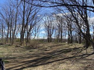 小山第3緑地の画像1