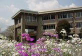 酒々井町立酒々井小学校