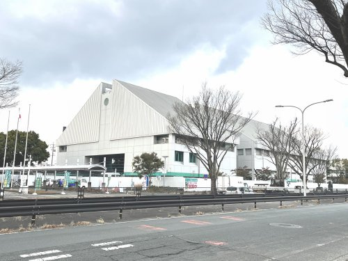 の画像