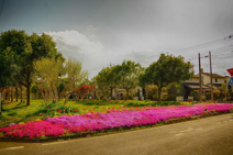 バスターミナル公園