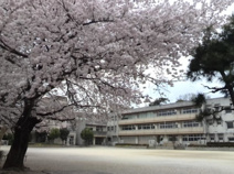 館林市立第八小学校