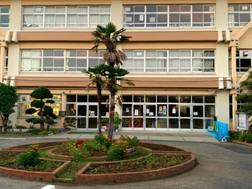 柏第七小学校の画像1