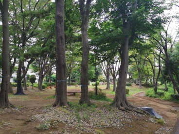 永楽台近隣公園の画像1