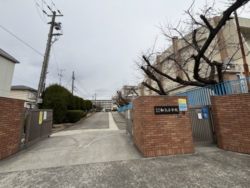 の画像