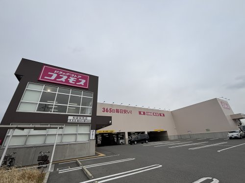 の画像